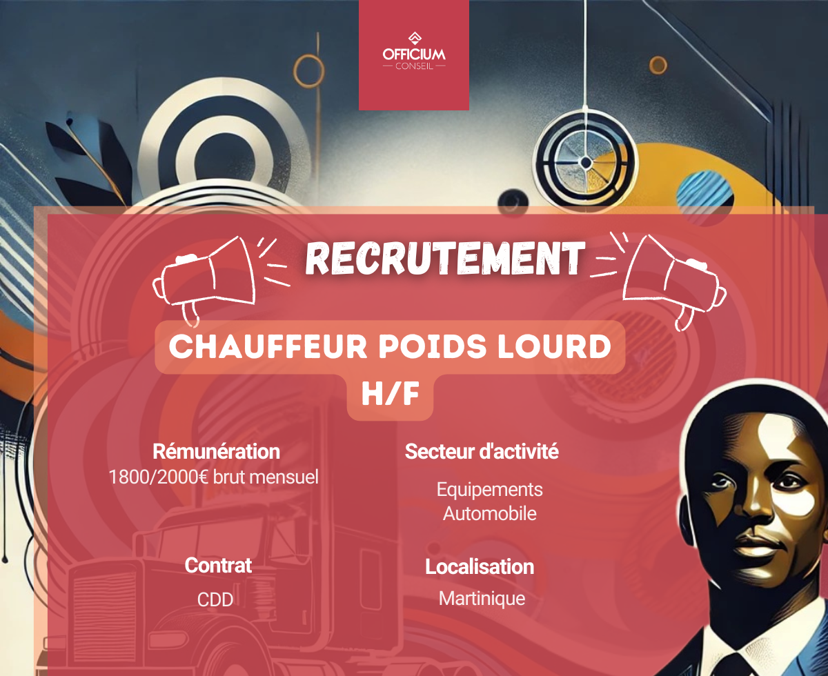 chauffeur poids lourd emploi martinique